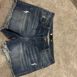 kut from the kloth jean shorts